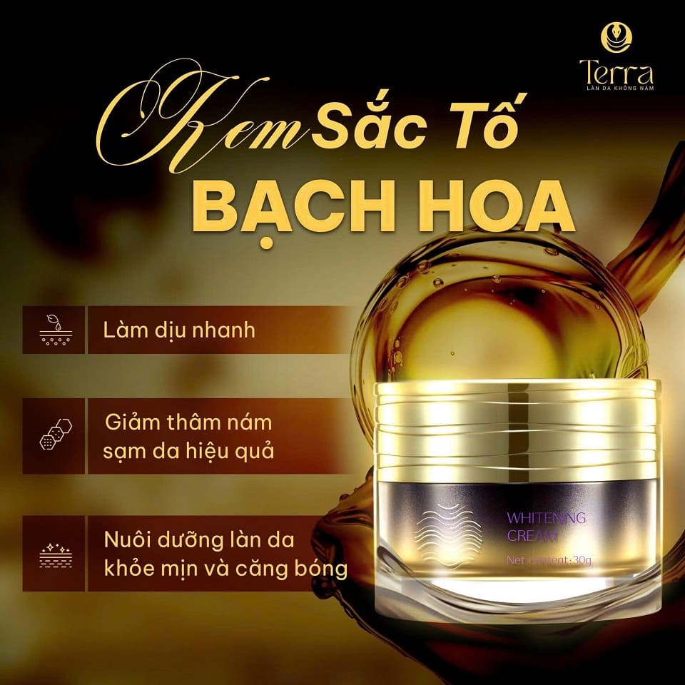 BACH HOA C3